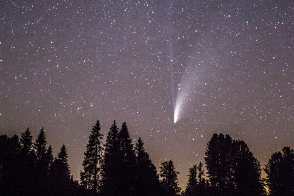 neowise Naturpark gantrisch