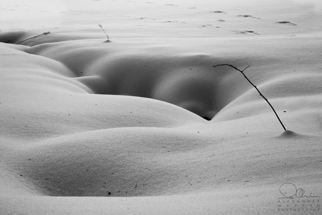 Schnee Schwarz Weiß