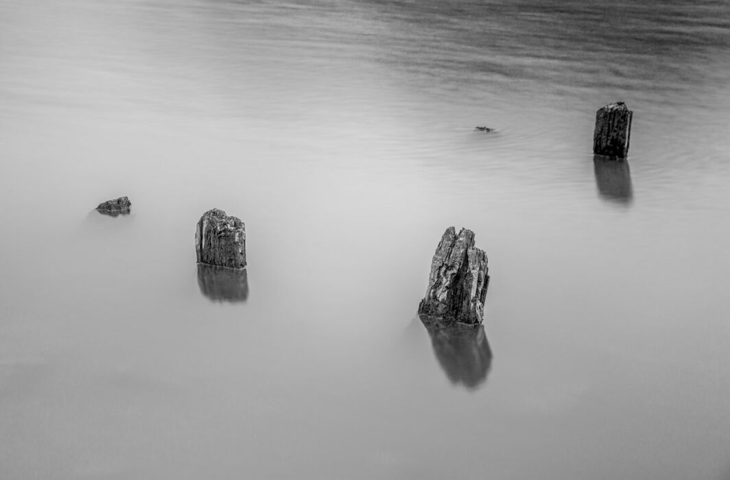 Fineart schwarzweiß Wasser Holz